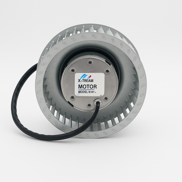 X240 Motor - X-TREAM